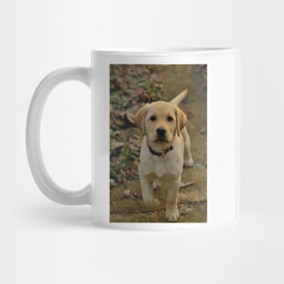 Labrador puppy Mug
